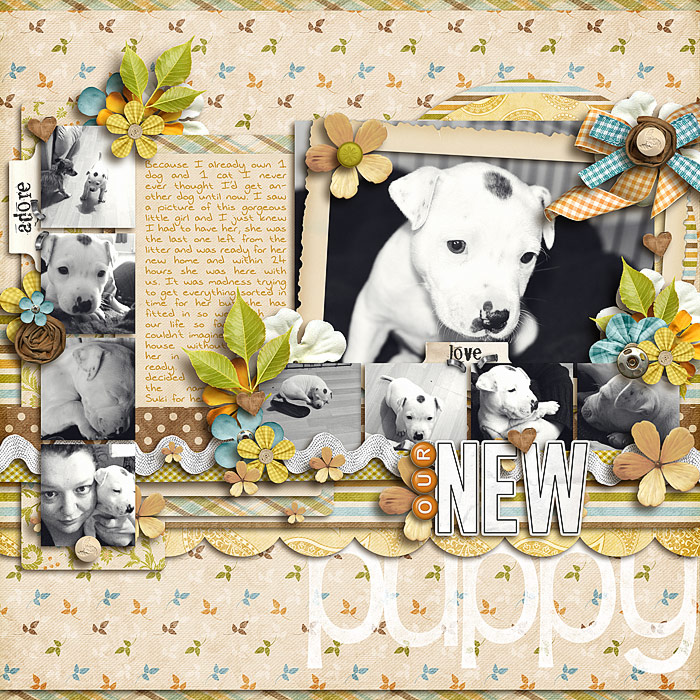 OurNewPuppy700x700
