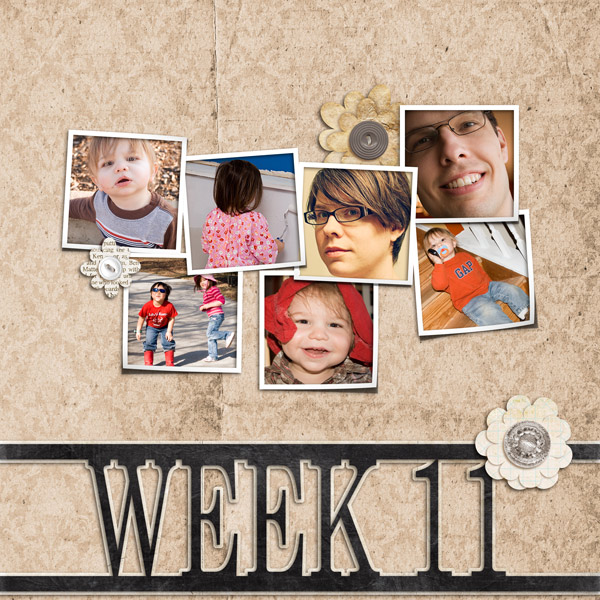 P365W11web