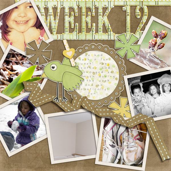 P365W12web