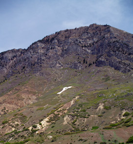 P5183203