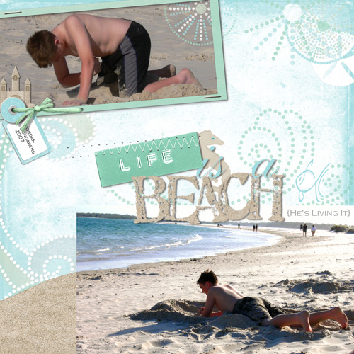 PDbeach