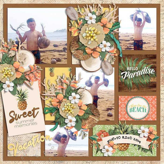 Paradisr_found_700