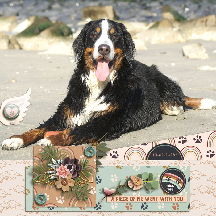 Pawprints-to-heaven-700