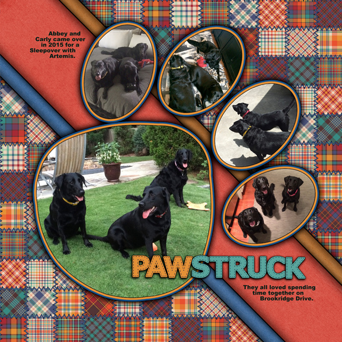 Pawstruck