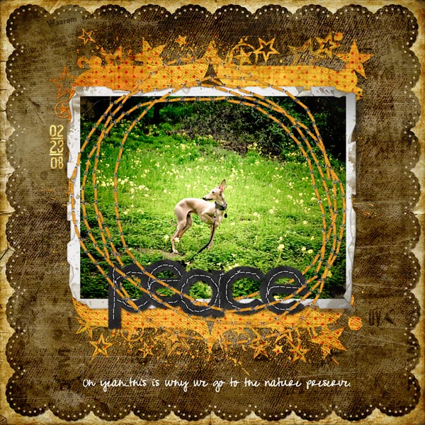Peace-web