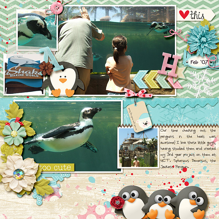 Penguins--small