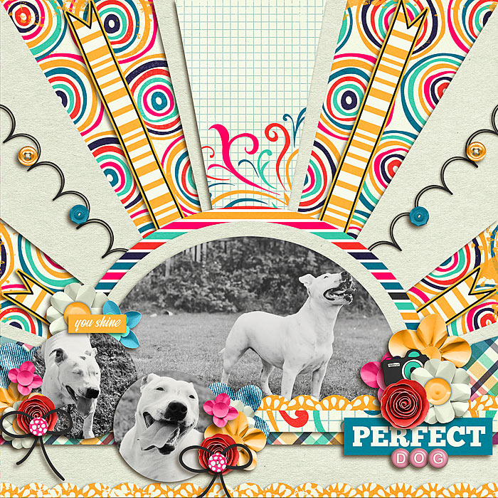 PerfectDog-700