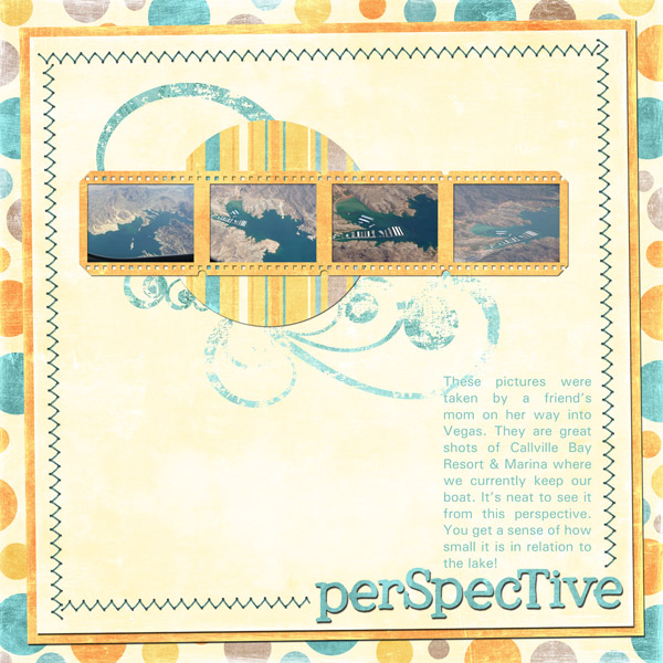 Perspective5