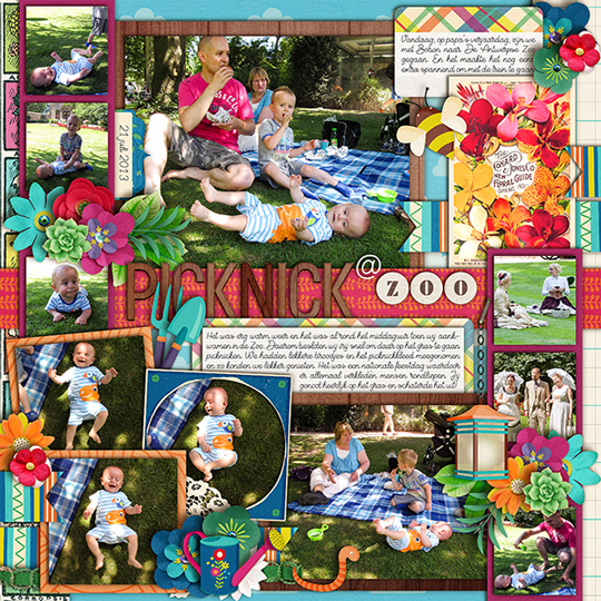 Picknick-_-the-zoo