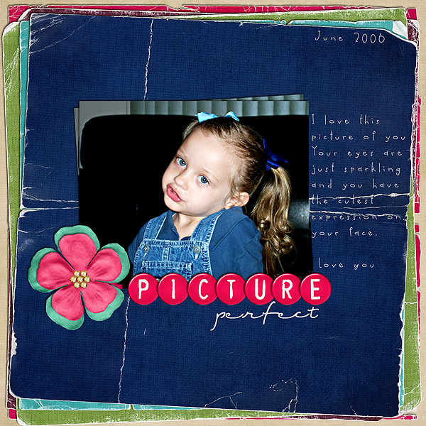 Picture-Perfect-web