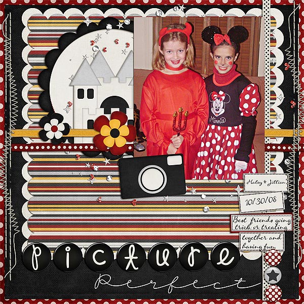 Picture-Perfect-web1