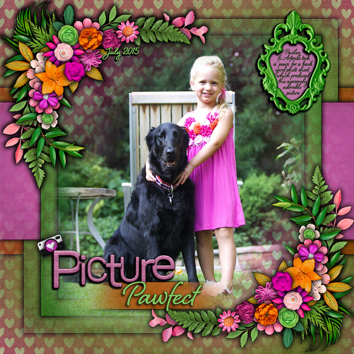 PicturePawfect