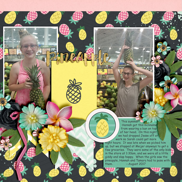 Pineapple_Pose_Aug_2017_smaller