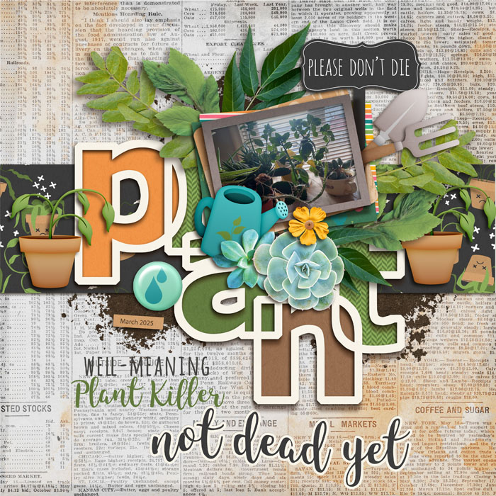 Plant_Killer_March_2025_smaller
