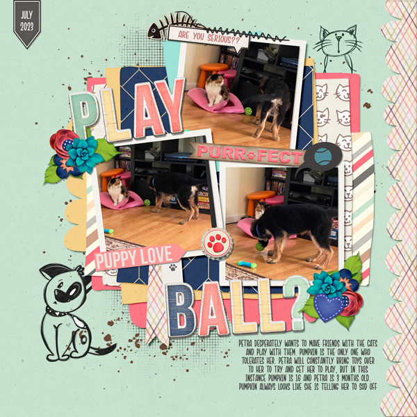 Play-Ball-web