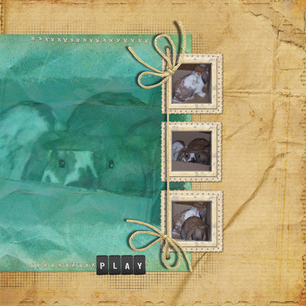 PlayForWeb