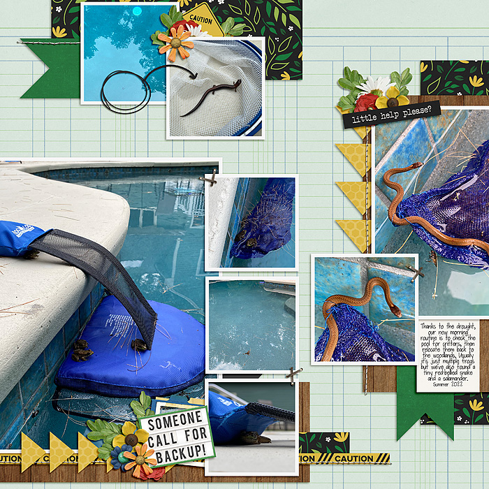 PoolGuests_SSD