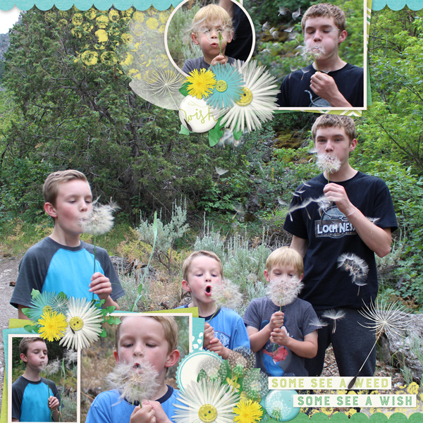 Prov-Canyon-Dandelions-MFish_SummerBliss_03