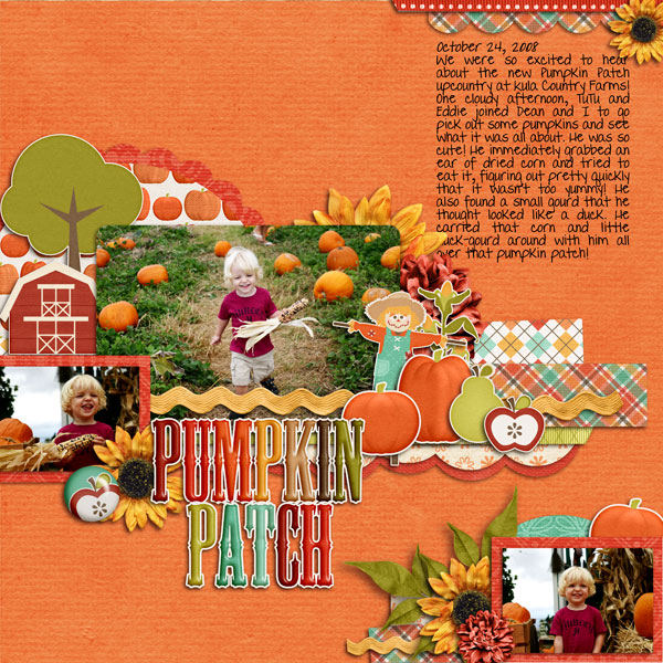 Pumpkin-Patch-web1