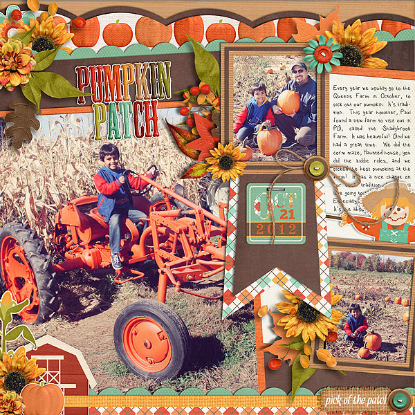 Pumpkin-Patch8