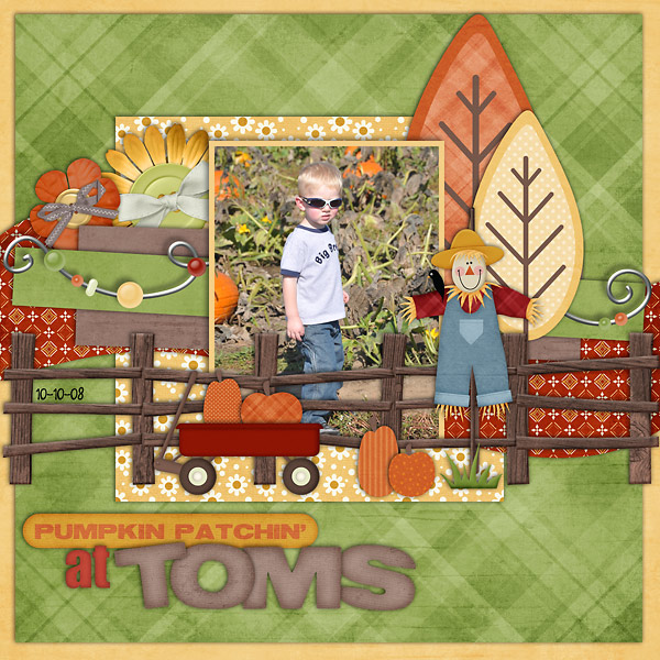 Pumpkin-Patchin-at-Toms