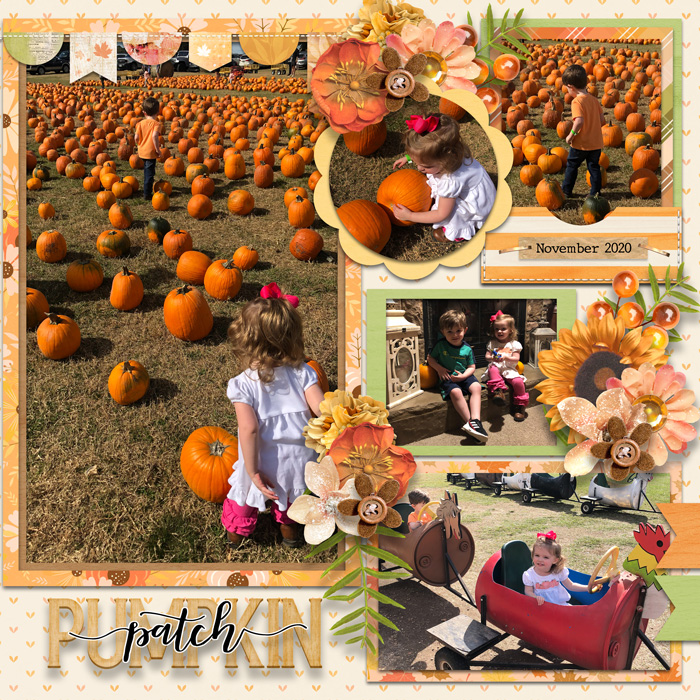 PumpkinPatch21