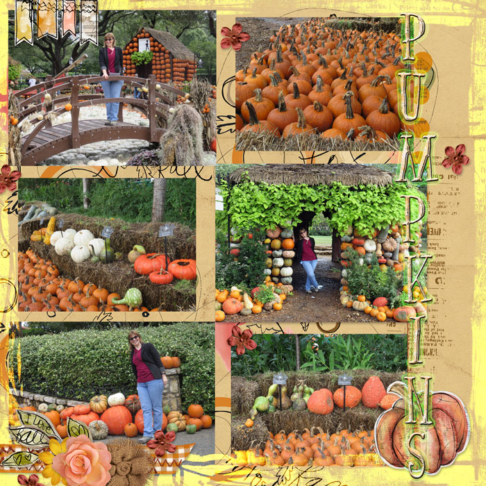 Pumpkins-October-2018