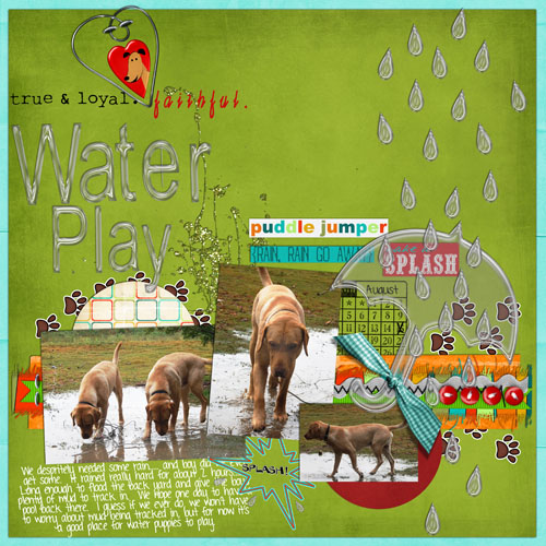 Puppies_in_Puddles_8-15-08WEB