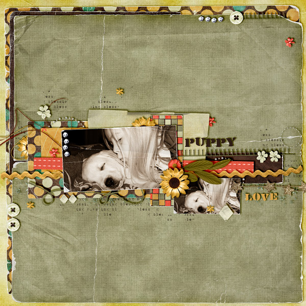 Puppy-Love3
