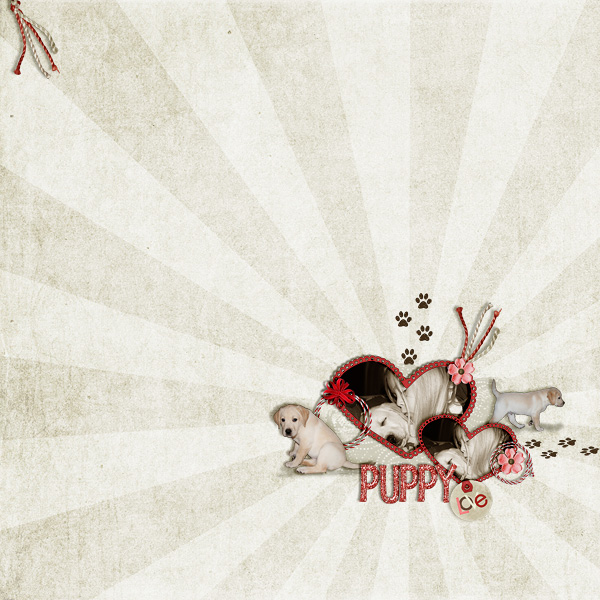 Puppy-Love5