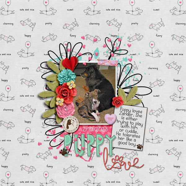 Puppy-Lovex