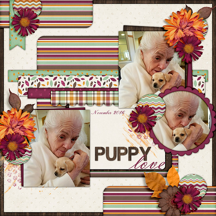 PuppyLove6
