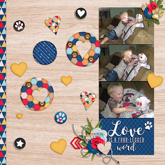 PuppyLove_SSD
