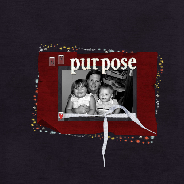 Purpose3