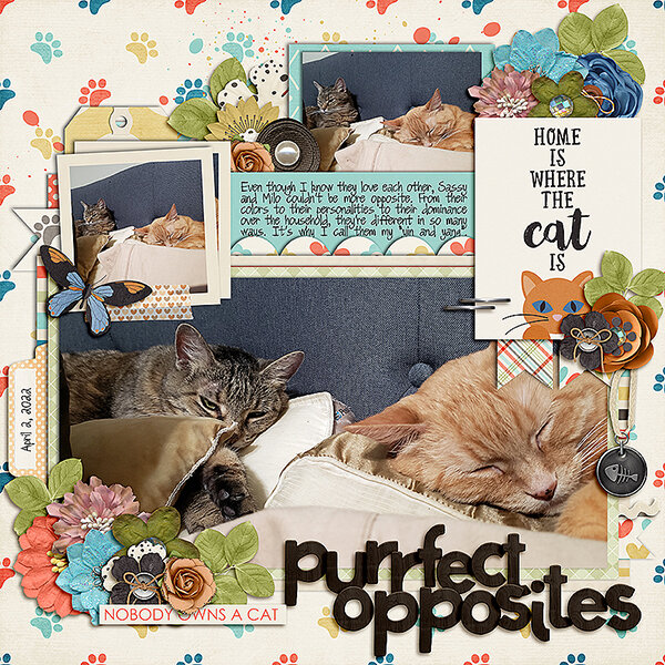 PurrfectOpposites-thumb