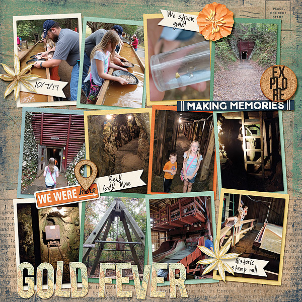 ReedGoldMine2017Web