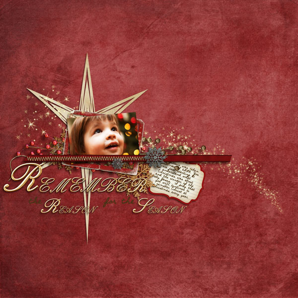 Remember-the-Reasonweb