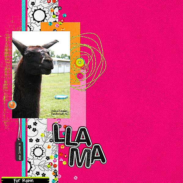 Robin-Llama-web