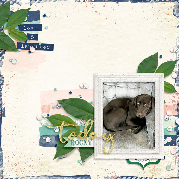 Rocky-Today-149