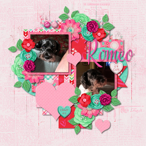 Romeo-web