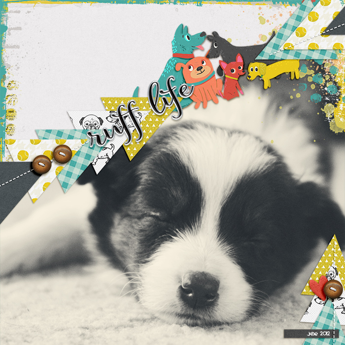 Ruff-Life-small