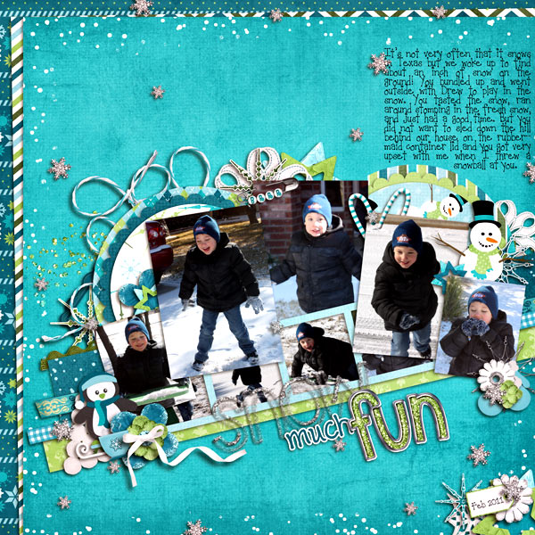 RyanSnowMuchFun