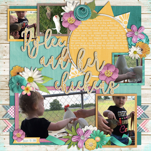 Rylee-_-Her-Chickens-September-2018-Bingo-_9