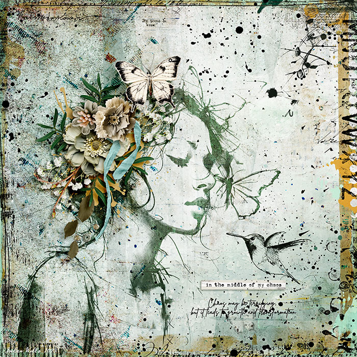 SB_in-the-middle-of-my-chaos