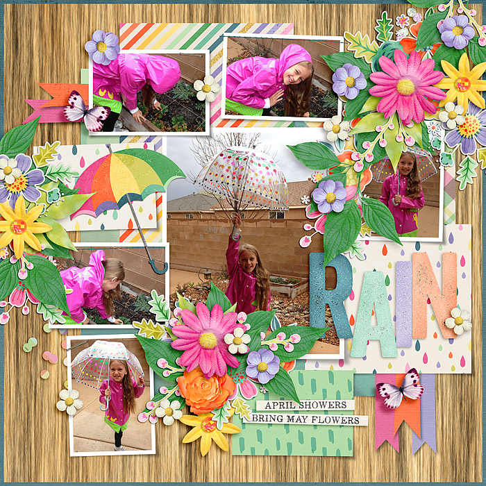 SF---April-Showers_-May-Flowers-_HSA-lots-lots-2_-copy