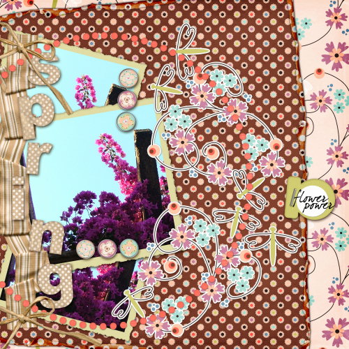 SPRING_BLOSOOMS_SSD