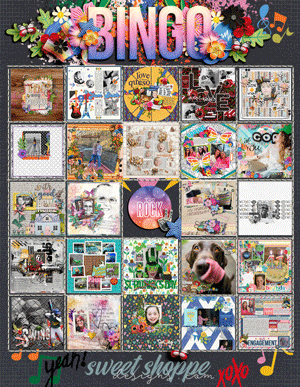SSD-Bingo-May