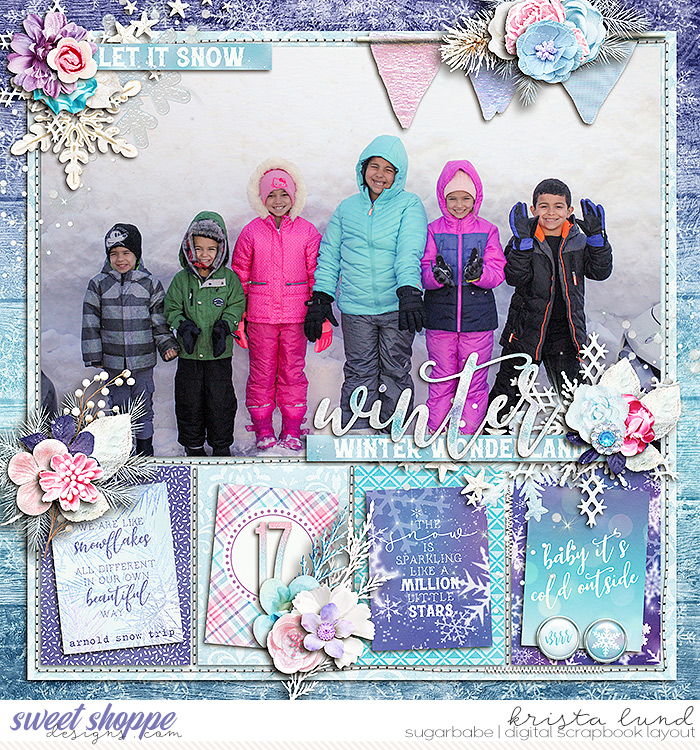 SSD-KL-2017_2-ArnoldSnowTrip