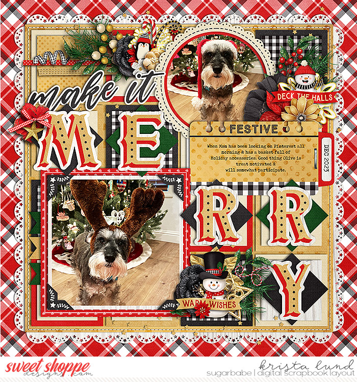 SSD-KL-2023_12-MerryDoggy