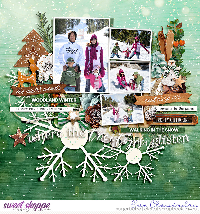 SSD-eve-kcbaswfrostyforest-28Nov24